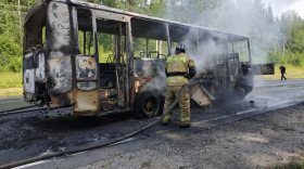 В Вытегорском районе на ходу загорелся автобус с пассажирами