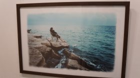 Выставка работ «глянцевого» фотографа Евгения Иванова открылась в Шаламовском доме в Вологде