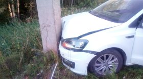 В Устюженском районе водитель иномарки, объезжая лося, врезался в столб