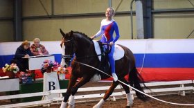 Череповчане завоевали медали в гимнастических упражнениях на лошади