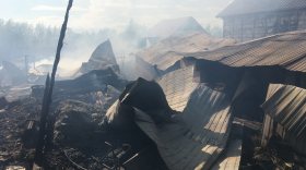 В Череповце из-за пожара в бане оказались повреждены четыре дачных участка