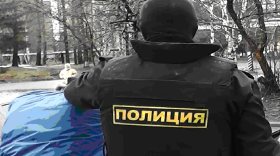 В Сямженском районе полицейский получил 200 тысяч рублей взятки за помощь в незаконной рубке леса