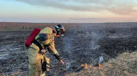 В Вологодской области до 14 мая введен особый противопожарный режим