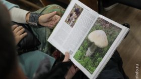 В Череповце издали книгу о грибах Вологодской области с QR-кодами