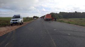 В Грязовецком районе дорожный рабочий погиб под колесами автомобиля