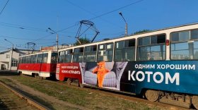 «Кототрамвай» ездит по улицам Череповца