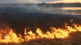 За сутки в Вологодской области ликвидировали семь палов сухой травы