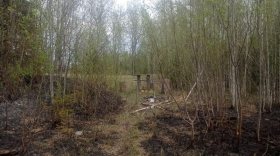 Лесной пожар в Вытегорском районе начался в месте отдыха для рыбаков и охотников