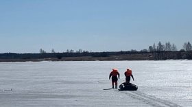 Два рыбака на снегоходе провалились под лед в Вологодской области