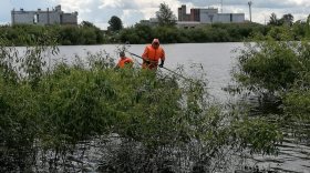 В Вологде в реке нашли тело пропавшего подростка