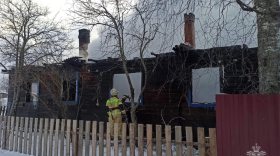 «В доме остались еще трое взрослых»: сказала пожарным спасенная из огня 10-летняя девочка