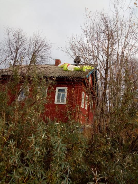 В Вытегорском районе парапланеристу пришлось приземлиться на крышу дома