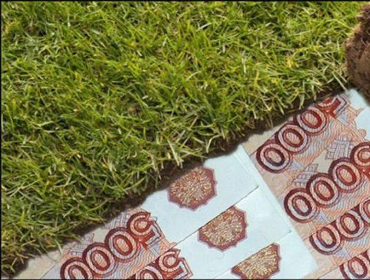 С 1 января многодетные семьи в Вологодской области смогут получать денежные выплаты вместо земельных участков