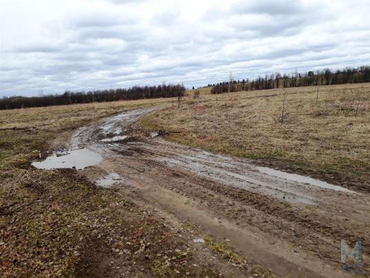 Площадь земли, используемая в сельском хозяйстве Вологодской области, уменьшилась на 69%