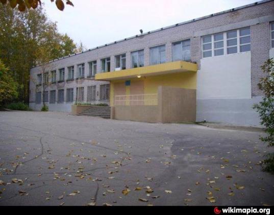 Школа №10 в Череповце перешла на дистанционное обучение из-за вспышки острого гастроэнтерита