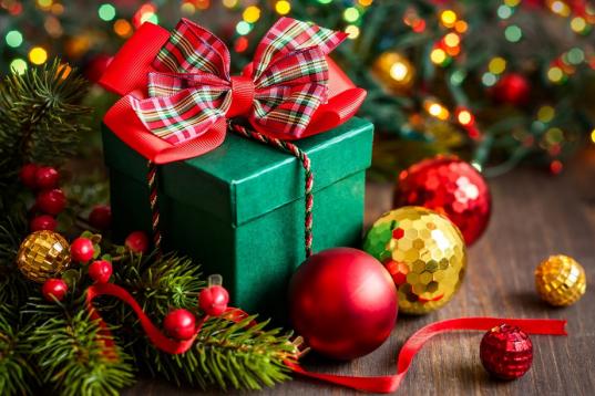 Вологжан приглашают помочь купить новогодние подарки одиноким пенсионерам из домов ветеранов