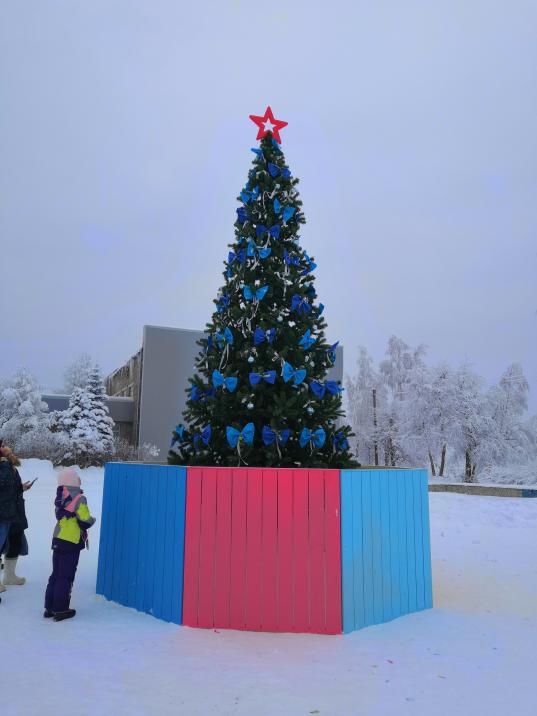Жители Климовского в Череповецком районе сами купили для поселка новогоднюю елку 