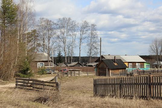 В Верховажском районе из-за местных властей сорвалось строительство животноводческих комплексов