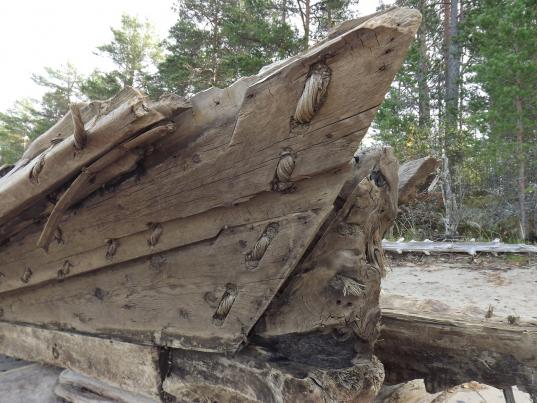 Найденное на берегу Онежского озера поморское судно XVII века установят на набережной Вытегры