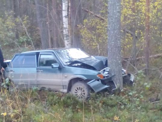 В Вытегорском районе женщина за рулем ВАЗа врезалась в дерево и погибла