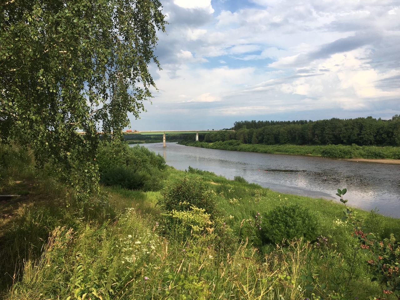 Кич городецкий район вологодской области карта