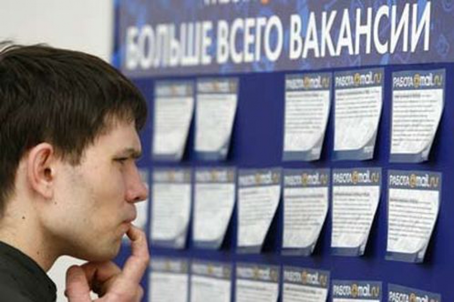 За год количество безработных в Вологодской области увеличилось на 20%