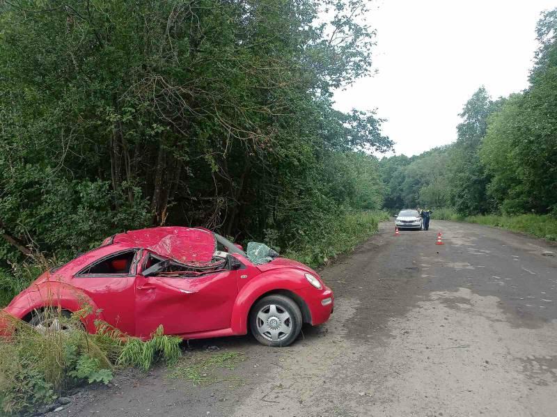 Volkswagen Beetle a5 Р”РўРџ