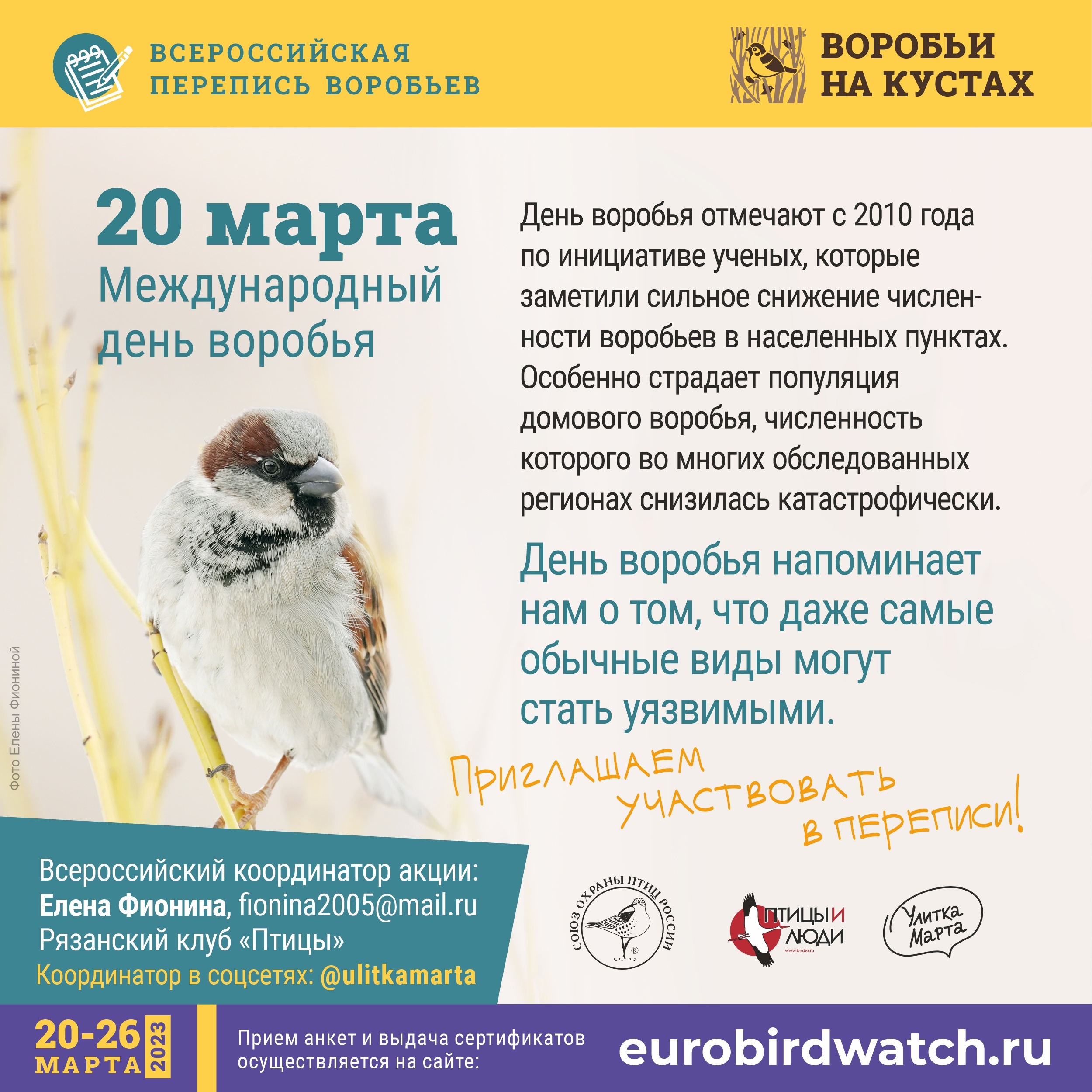 Жителям Вологодской области предлагают принять участие в переписи воробьев  | 20.03.2023 | Вологда - БезФормата