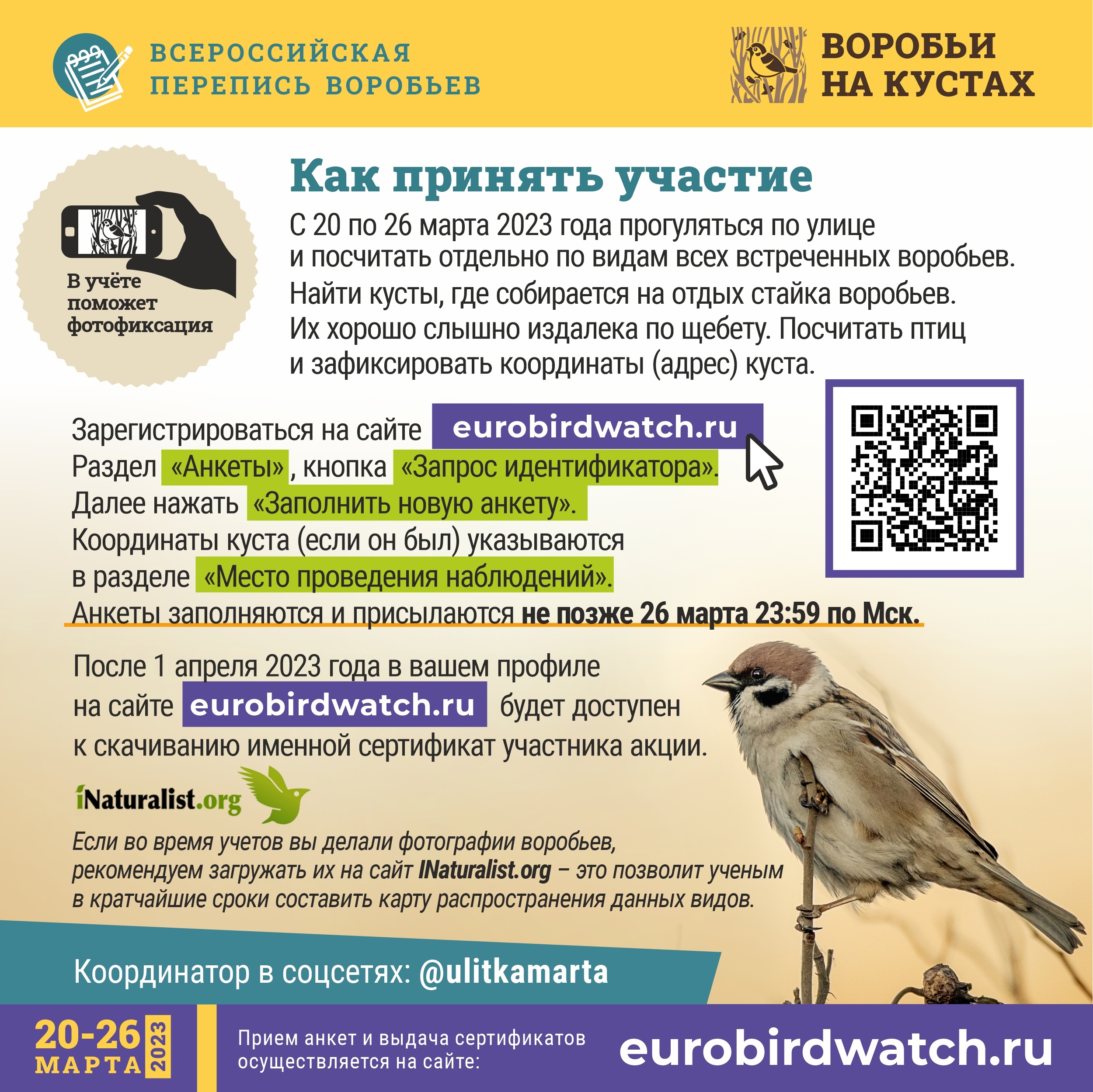 Жителям Вологодской области предлагают принять участие в переписи воробьев  | 20.03.2023 | Вологда - БезФормата