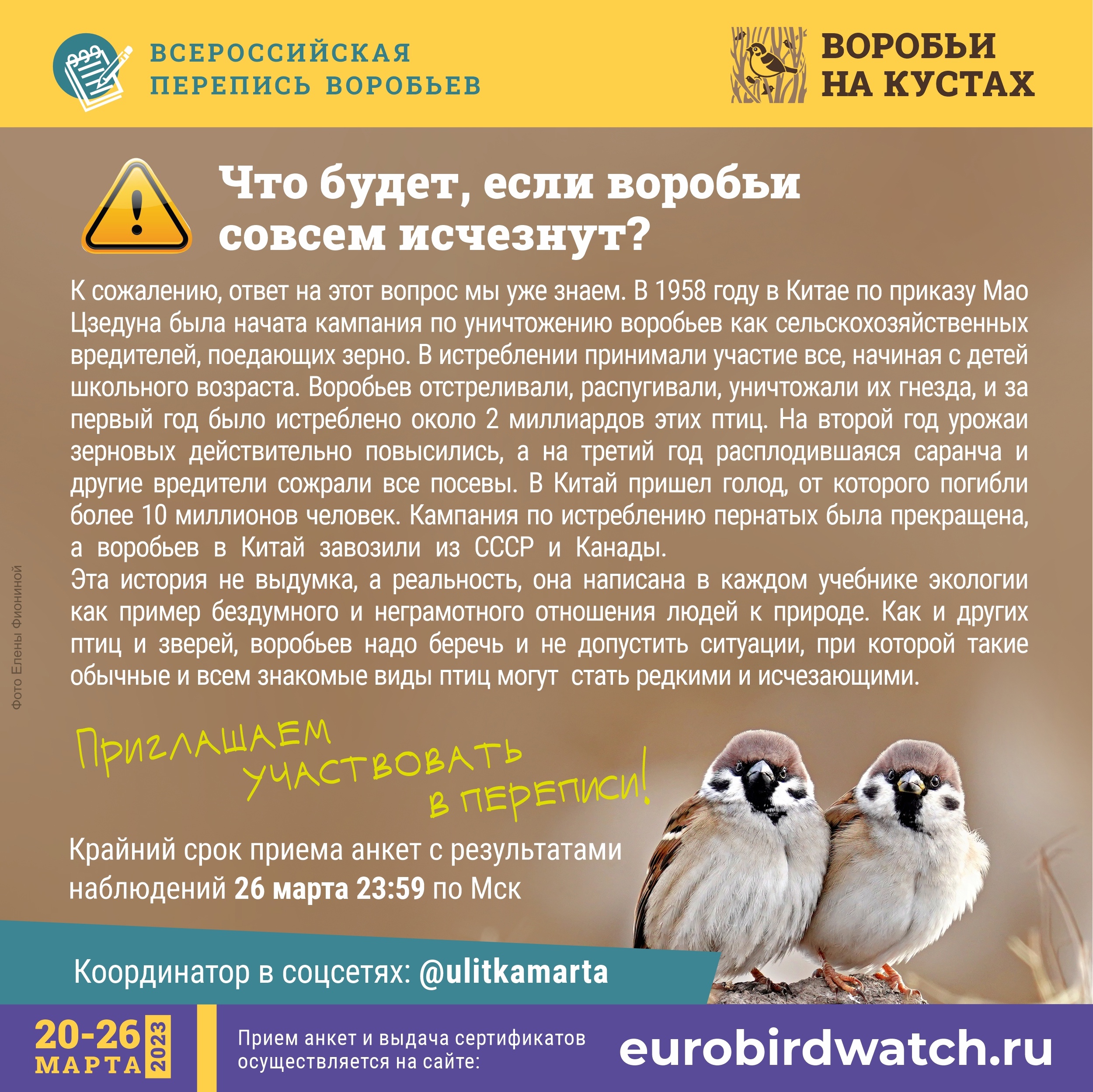 Жителям Вологодской области предлагают принять участие в переписи воробьев  | 20.03.2023 | Вологда - БезФормата