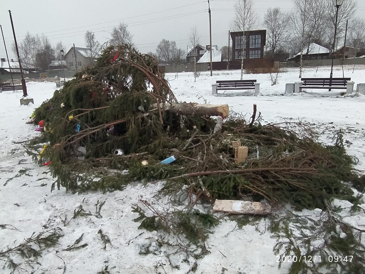 В микрорайоне Прилуки в Вологде уронили новогоднюю ёлку | 01.12.2020 |  Вологда - БезФормата