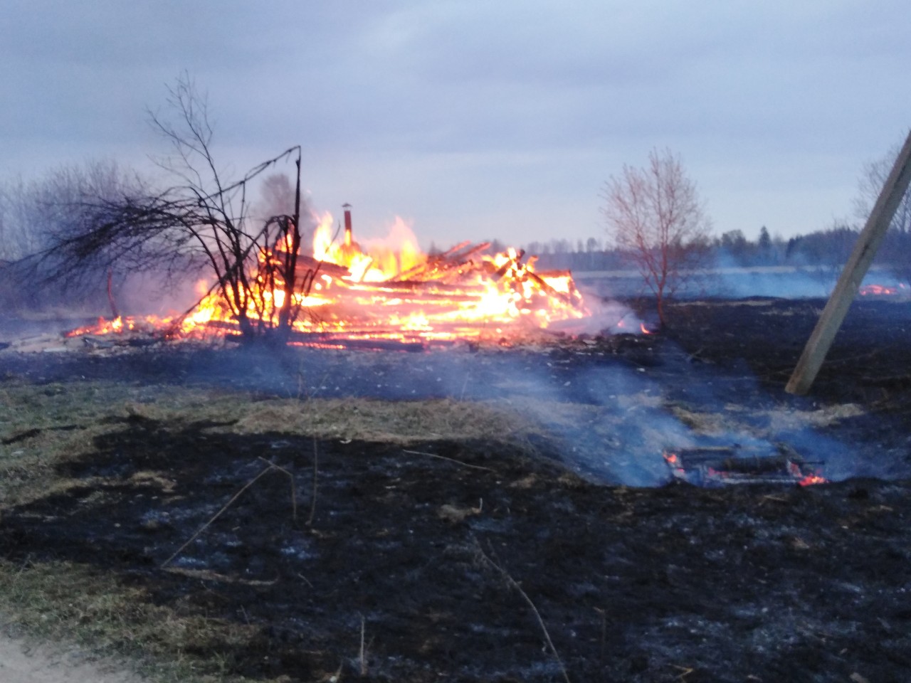 В Вологодской области сгорела деревня | 03.05.2019 | Вологда - БезФормата