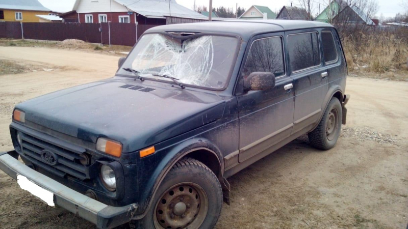 Нива в оренбургской области