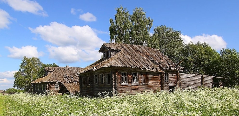 Деревня 28. Деревня Шушково Вологодский район. Деревня Орел Вологодская область. Деревня Паюсово Орловская область. Заброшенные деревни Вологодской области Кирилловского района.