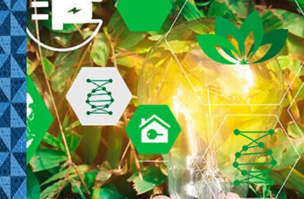 Вологодские предприятия представят свои экологические практики на конкурсе «Вологодский зелёный бизнес»