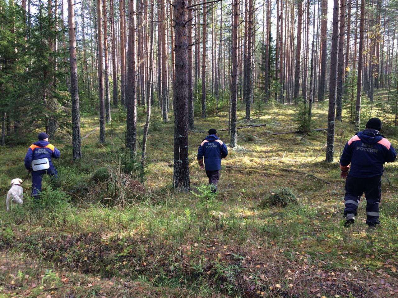 Устройство чтобы не заблудиться в лесу компас с памятью обратного пути