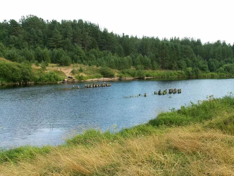 Каменка верховажский район фото