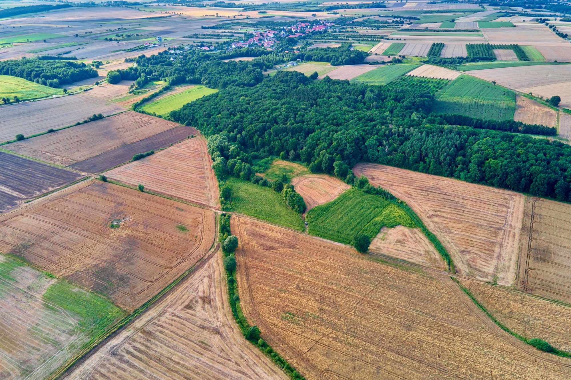 150 гектаров фото