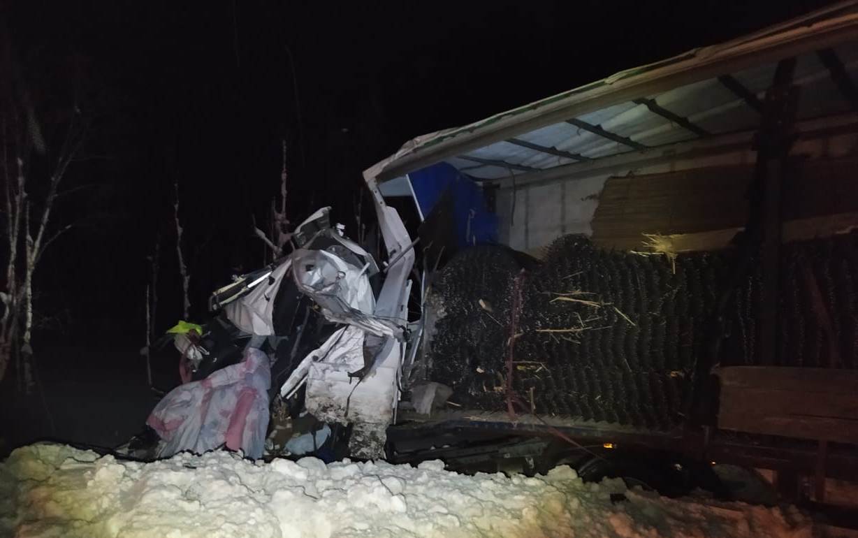 В Вытегорском районе в ДТП погиб водитель грузовика