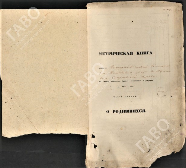 Метрические книги вологодского уезда. Оцифрованные документы 16 века. Оцифрованные документы Саратовского Госархива. Госархив Вологодской области доступ к оцифрованным документам. Архив церковных документов отбор.