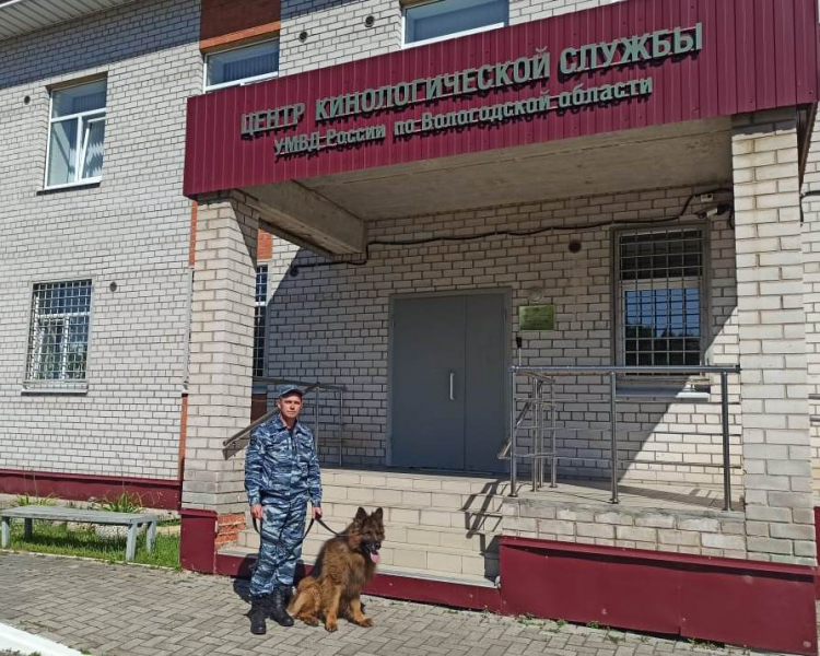 В Вологде служебная собака помогла задержать подозреваемую в краже денег