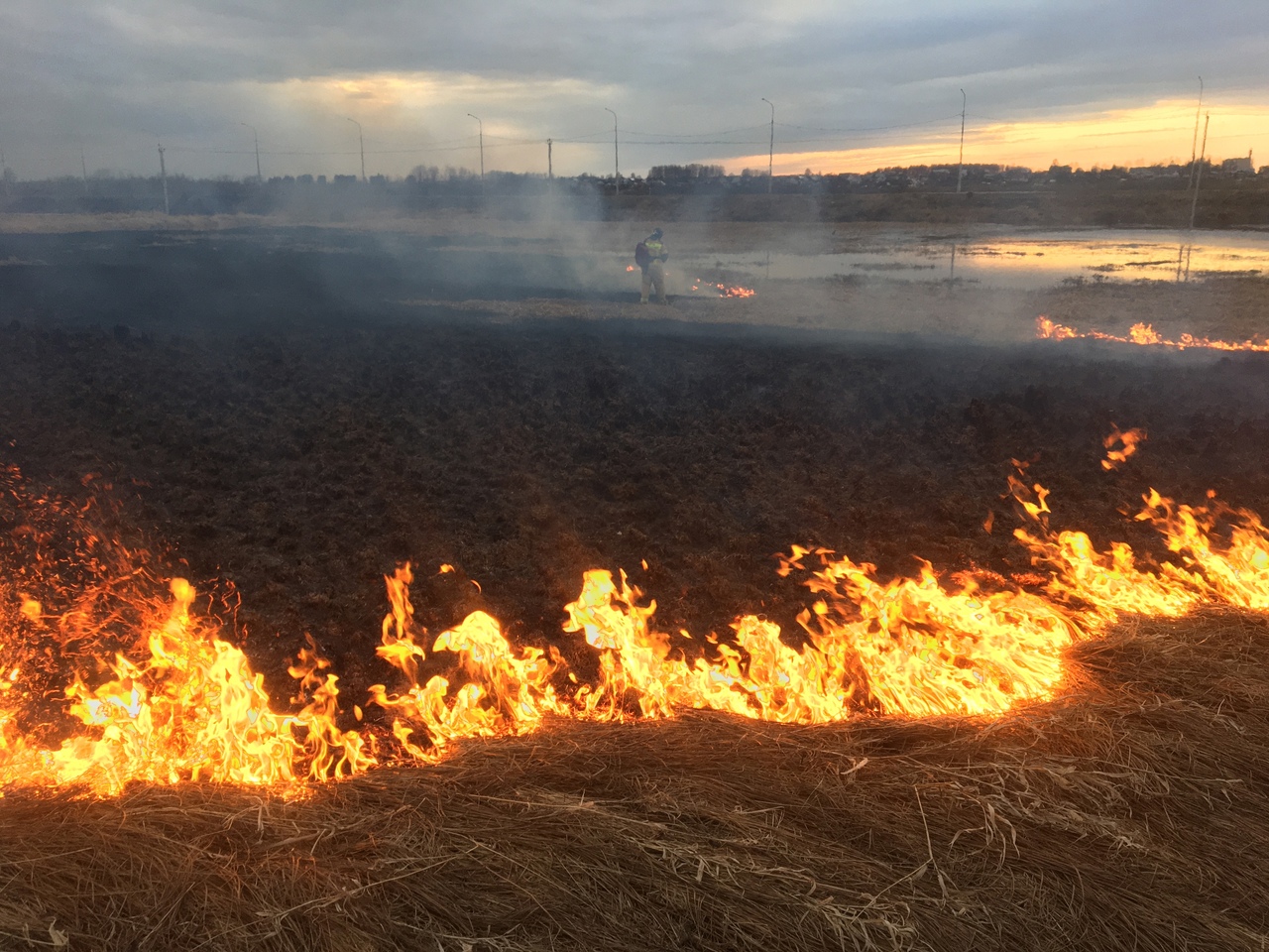 Пал травы это. Пожары. Пожар на открытой местности. Пожар весной. Пал травы.