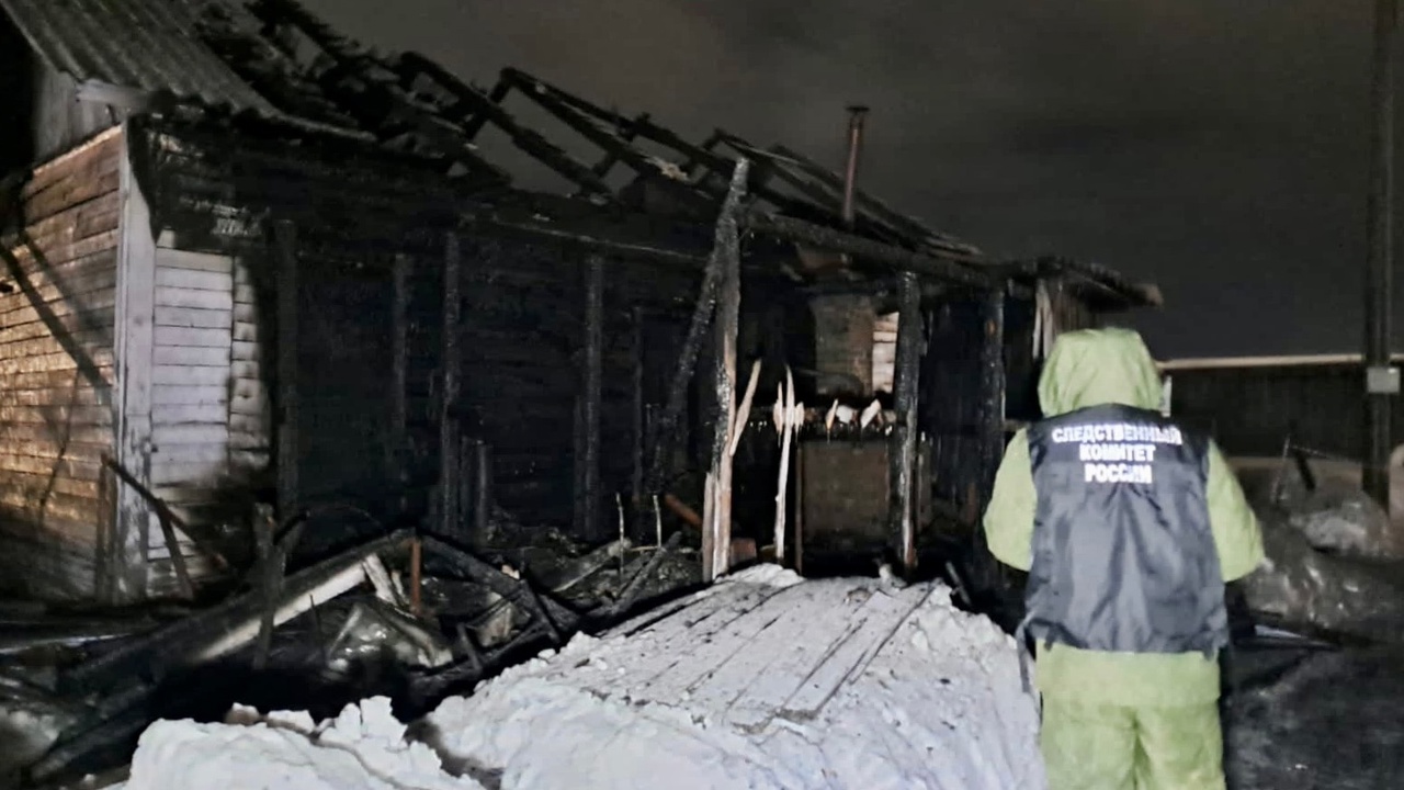Женщина и ребенок погибли при пожаре в Грязовце
