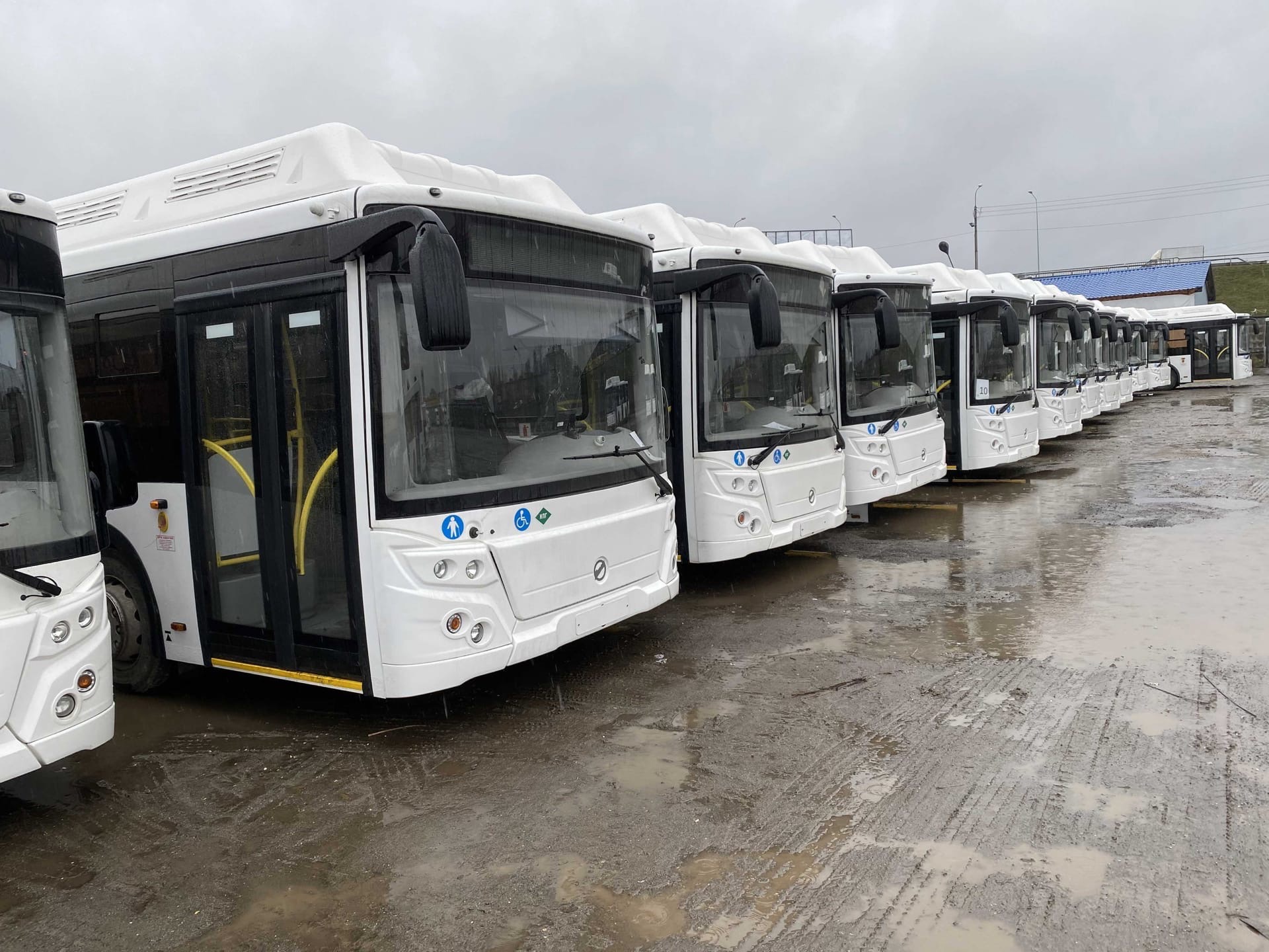 17 новых низкопольных автобусов поступили в Череповец
