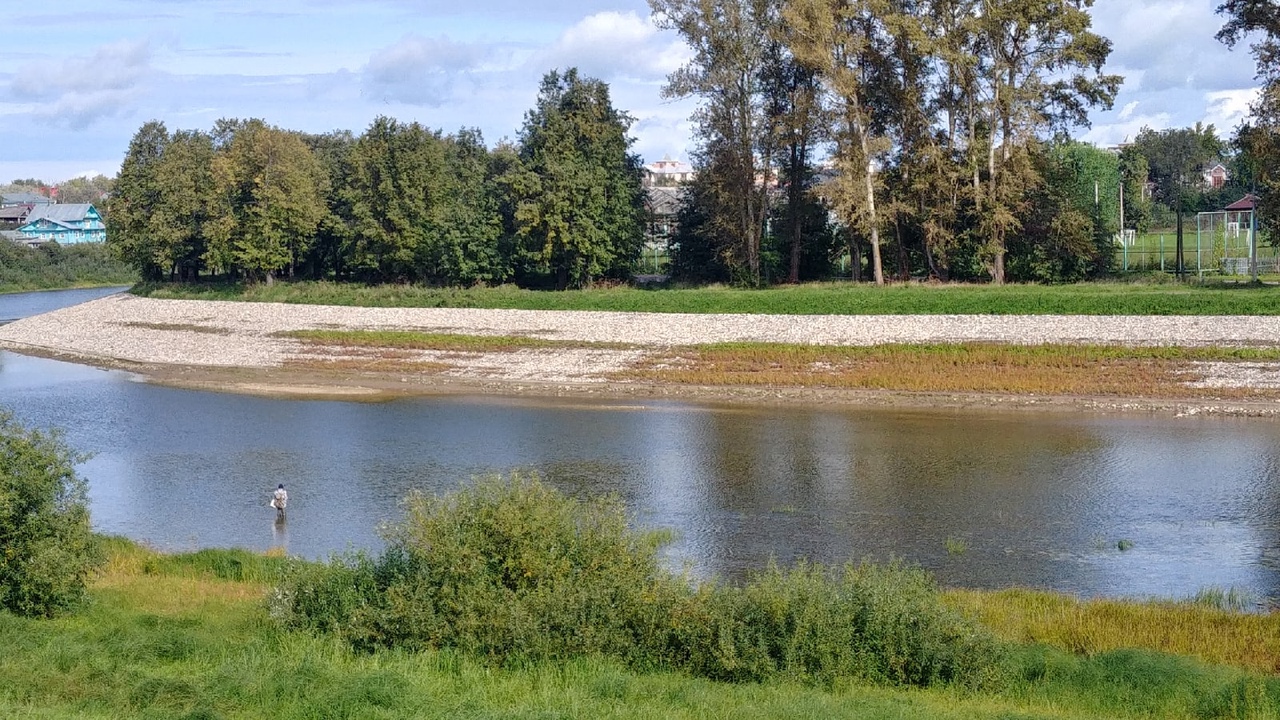 Берег реки Вологды хочет оставаться зелёным: трава пытается победить бетон