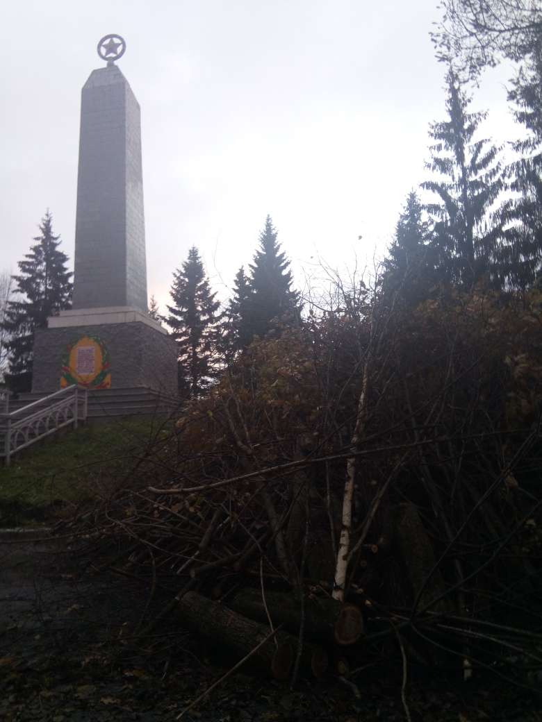 Вырубка на Введенском кладбище  
