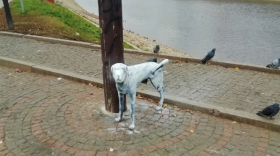 В Вологде неизвестные покрасили в белый цвет писающую собачку