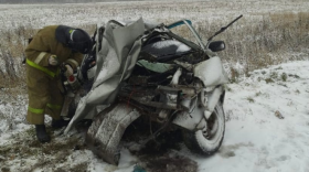 В Вологодской области грузовик столкнулся с легковушкой: три человека погибли 