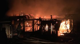 В Никольском районе женщина и двое детей спаслись из пожара в деревянном доме