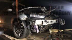 В Череповецком районе автомобиль сбил лося